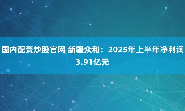 国内配资炒股官网 新疆众和：2025年上半年净利润3.91亿元